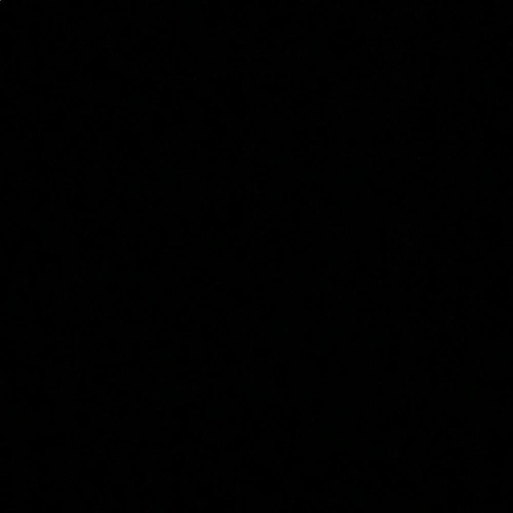 Meet your Posher, Alondra